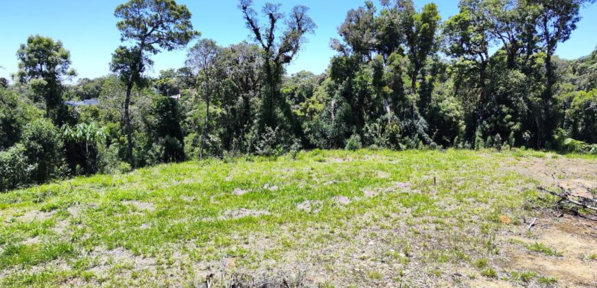 Chácara no Condomínio Lago Negro – Rancho Queimado – SC – 24 Xaxim