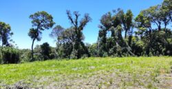 Chácara no Condomínio Lago Negro – Rancho Queimado – SC – 24 Xaxim