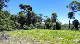 Chácara no Condomínio Lago Negro – Rancho Queimado – SC – 24 Xaxim