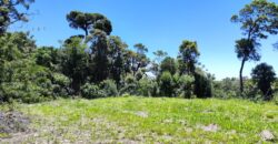 Chácara no Condomínio Lago Negro – Rancho Queimado – SC – 24 Xaxim