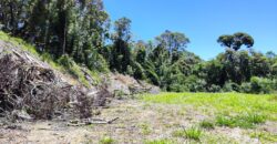 Chácara no Condomínio Lago Negro – Rancho Queimado – SC – 24 Xaxim