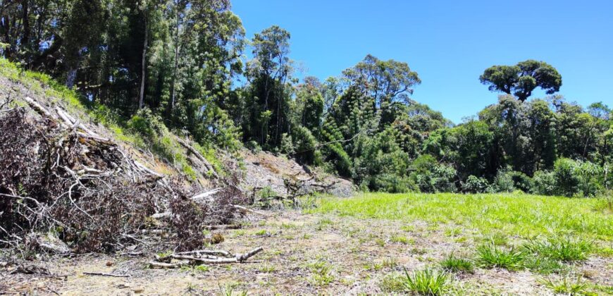 Chácara no Condomínio Lago Negro – Rancho Queimado – SC – 24 Xaxim