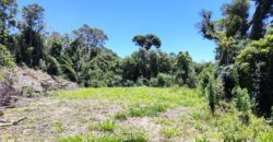 Chácara no Condomínio Lago Negro – Rancho Queimado – SC – 24 Xaxim