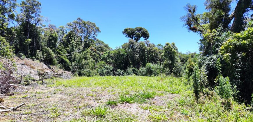 Chácara no Condomínio Lago Negro – Rancho Queimado – SC – 24 Xaxim