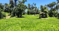 Chácara Condomínio Lago Negro – Rancho Queimado – SC – 16 Xaxim