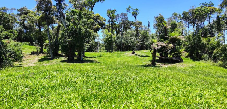 Chácara Condomínio Lago Negro – Rancho Queimado – SC – 16 Xaxim