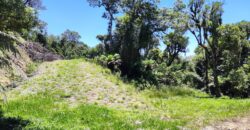 Chácara no Condomínio Lago Negro – Rancho Queimado – SC – 24 Xaxim