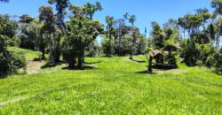 Chácara Condomínio Lago Negro – Rancho Queimado – SC – 16 Xaxim