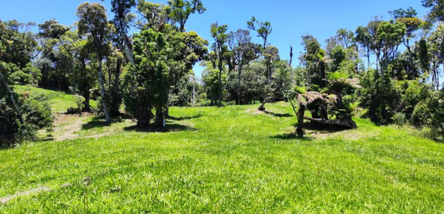 Chácara Condomínio Lago Negro – Rancho Queimado – SC – 16 Xaxim