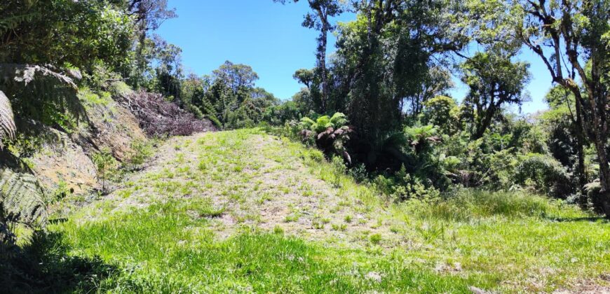 Chácara no Condomínio Lago Negro – Rancho Queimado – SC – 24 Xaxim