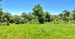 Chácara Condomínio Lago Negro – Rancho Queimado – SC – 16 Xaxim