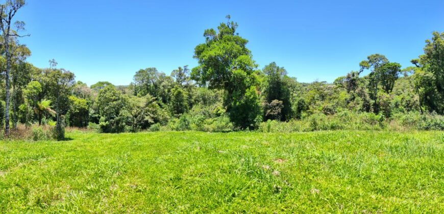 Chácara Condomínio Lago Negro – Rancho Queimado – SC – 16 Xaxim