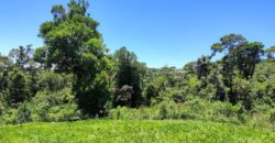 Chácara Condomínio Lago Negro – Rancho Queimado – SC – 16 Xaxim