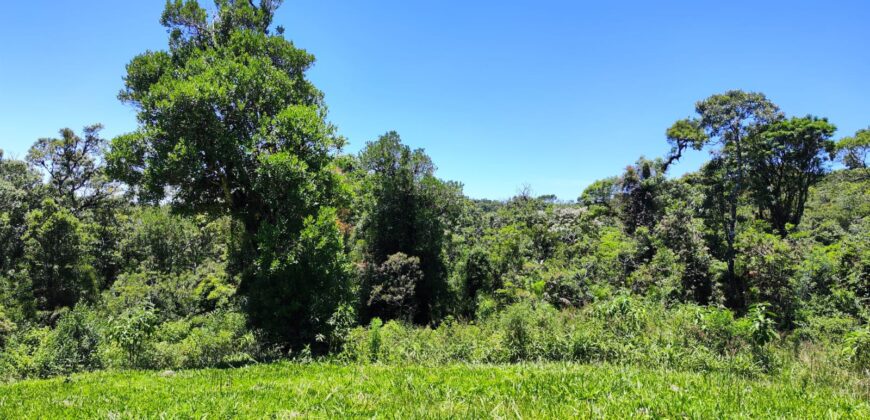 Chácara Condomínio Lago Negro – Rancho Queimado – SC – 16 Xaxim