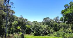 Chácara Condomínio Lago Negro – Rancho Queimado – SC – 16 Xaxim