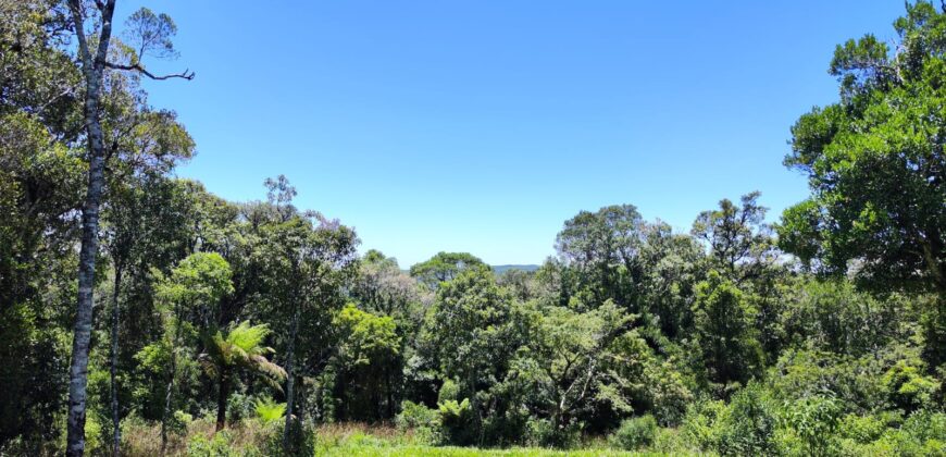 Chácara Condomínio Lago Negro – Rancho Queimado – SC – 16 Xaxim
