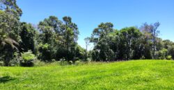 Chácara Condomínio Lago Negro – Rancho Queimado – SC – 16 Xaxim