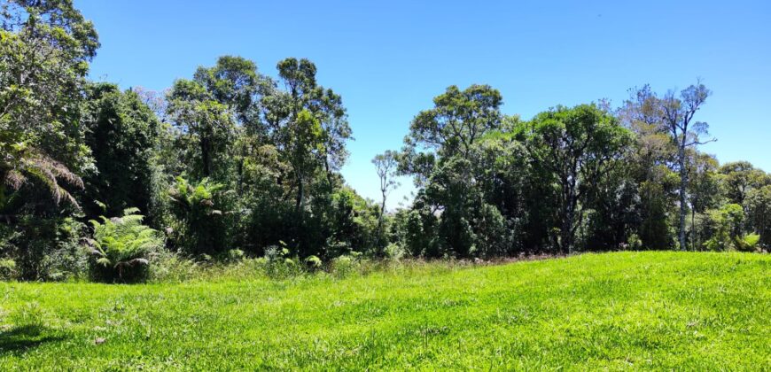 Chácara Condomínio Lago Negro – Rancho Queimado – SC – 16 Xaxim