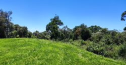 Chácara Condomínio Lago Negro – Rancho Queimado – SC – 16 Xaxim