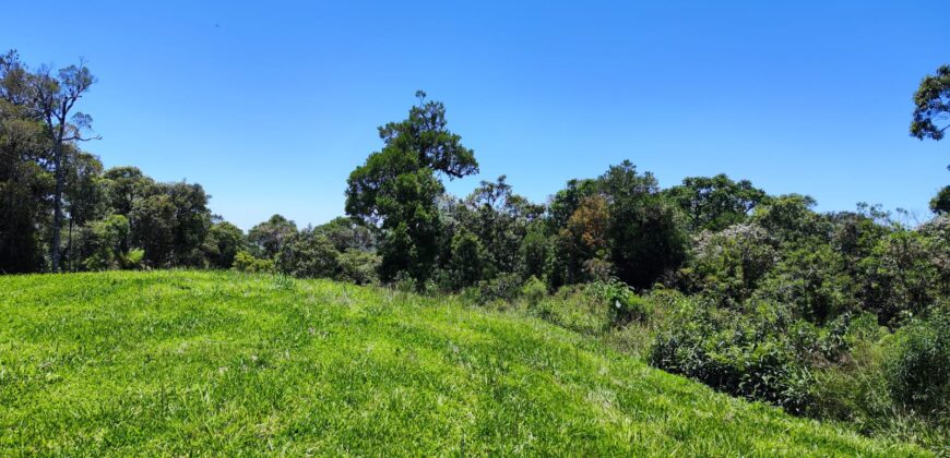 Chácara Condomínio Lago Negro – Rancho Queimado – SC – 16 Xaxim