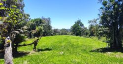 Chácara Condomínio Lago Negro – Rancho Queimado – SC – 16 Xaxim