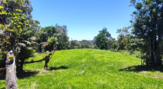 Chácara Condomínio Lago Negro – Rancho Queimado – SC – 16 Xaxim