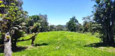 Chácara Condomínio Lago Negro – Rancho Queimado – SC – 16 Xaxim