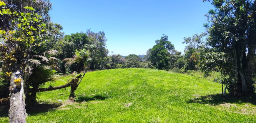 Chácara Condomínio Lago Negro – Rancho Queimado – SC – 16 Xaxim