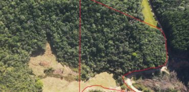 Sítio de 2 Hectares com Lago e Riacho – Apenas 3 km da SC 108