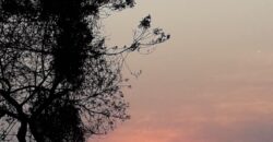 Sua Casa de Aconchego em Condomínio Fechado