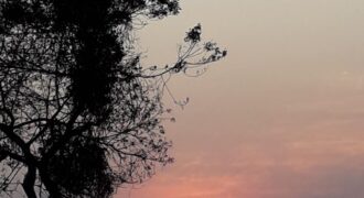 Sua Casa de Aconchego em Condomínio Fechado