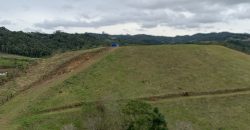 Terreno de 7,5 hectares á venda – Leia a legenda