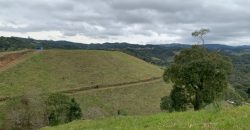 Terreno de 7,5 hectares á venda – Leia a legenda