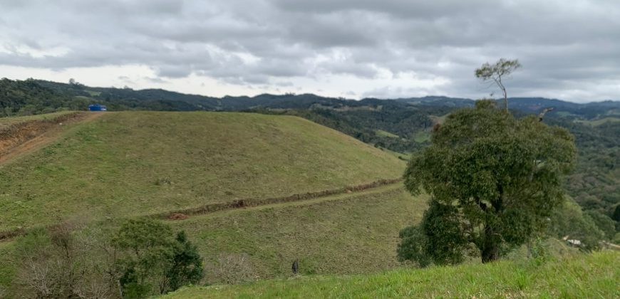 Terreno de 7,5 hectares á venda – Leia a legenda