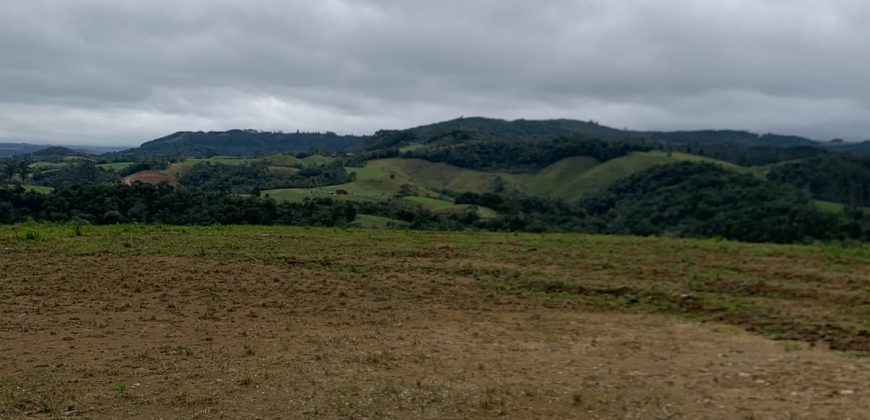 Terreno de 7,5 hectares á venda – Leia a legenda
