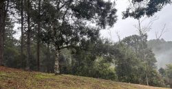 LOTE DE 1.062m² VILLAGE DA MONTANHA – 43 VILLA DO PRADO