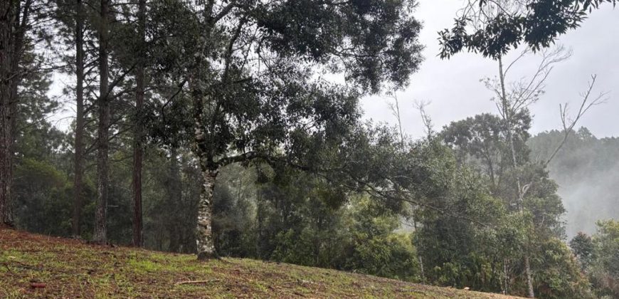LOTE DE 1.062m² VILLAGE DA MONTANHA – 43 VILLA DO PRADO
