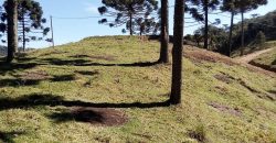 Sítio 4 hectares – Rancho Queimado – SC