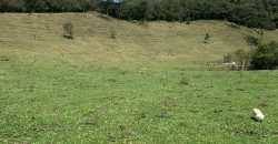 Terreno em Área Urbana com 6.5 Hectare – Rancho Queimado – SC