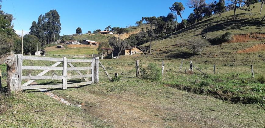 Sitio de 25 hectares totalmente aproveitáveis no Mato Francês – Rancho Queimado – SC