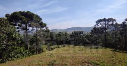 Maravilhosa fazenda com vista 360° – Potencial para empreendimento – Rancho Queimado/SC