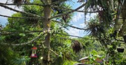 CASA A VENDA NO CONDOMINIO PORTAL DA SERRA – RANCHO QUEIMADO