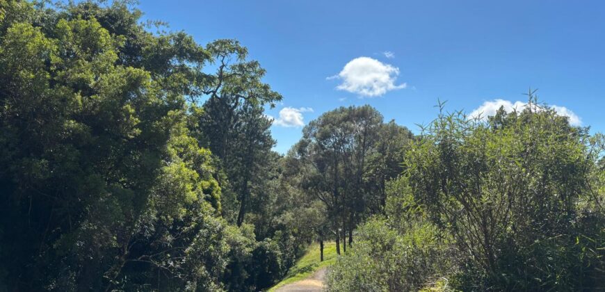 Terreno 57 Village da Montanha – Villa da Cachoeira