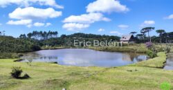 Sítio com Casa de 244m², 4,5 Hectares, 2 Lagos e Belíssimas Araucárias – Queimada Grande, Rancho Queimado/SC
