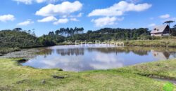 Sítio com Casa de 244m², 4,5 Hectares, 2 Lagos e Belíssimas Araucárias – Queimada Grande, Rancho Queimado/SC