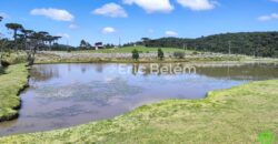 Sítio com Casa de 244m², 4,5 Hectares, 2 Lagos e Belíssimas Araucárias – Queimada Grande, Rancho Queimado/SC