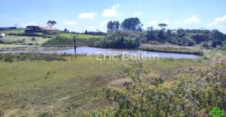 Sítio com Casa de 244m², 4,5 Hectares, 2 Lagos e Belíssimas Araucárias – Queimada Grande, Rancho Queimado/SC