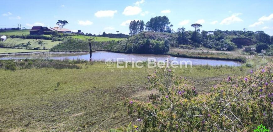 Sítio com Casa de 244m², 4,5 Hectares, 2 Lagos e Belíssimas Araucárias – Queimada Grande, Rancho Queimado/SC