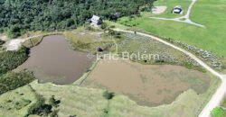Sítio com Casa de 244m², 4,5 Hectares, 2 Lagos e Belíssimas Araucárias – Queimada Grande, Rancho Queimado/SC