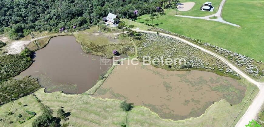 Sítio com Casa de 244m², 4,5 Hectares, 2 Lagos e Belíssimas Araucárias – Queimada Grande, Rancho Queimado/SC